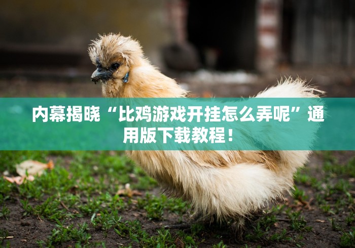 内幕揭晓“比鸡游戏开挂怎么弄呢”通用版下载教程！