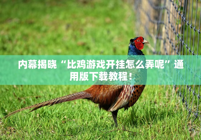 辅助神器“怎样查别人打牌装了挂”附透视挂详细教程