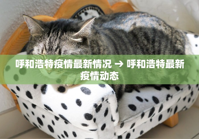 呼和浩特疫情最新情况 → 呼和浩特最新疫情动态