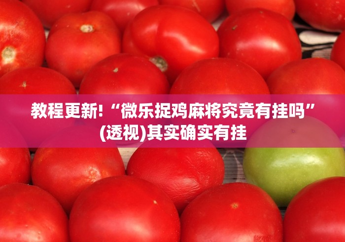 秒懂经验“卡五星麻将到底有没有挂透视辅助”(确实有挂)