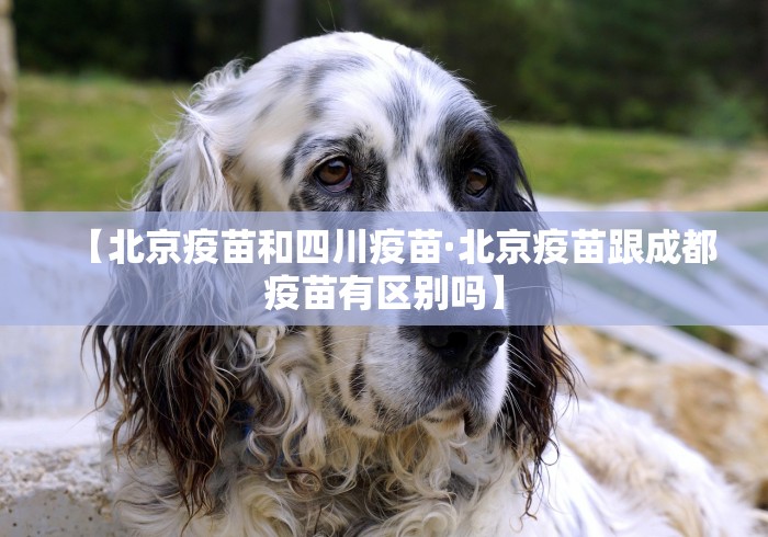 【北京疫苗和四川疫苗·北京疫苗跟成都疫苗有区别吗】