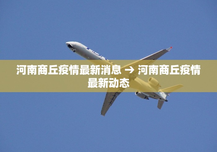 河南商丘疫情最新消息 → 河南商丘疫情最新动态