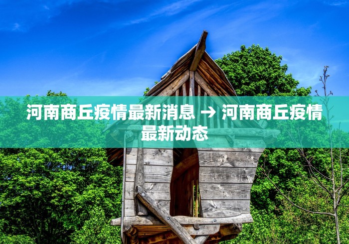 河南商丘疫情最新消息 → 河南商丘疫情最新动态