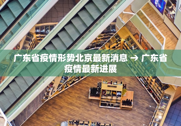 广东省疫情形势北京最新消息 → 广东省疫情最新进展
