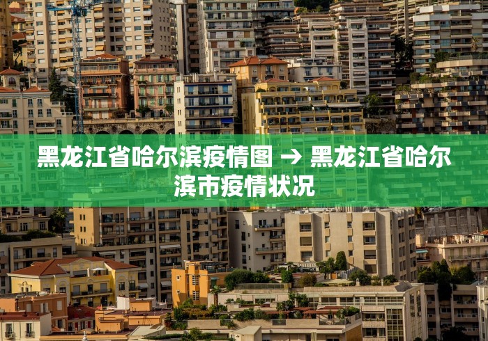 黑龙江省哈尔滨疫情图 → 黑龙江省哈尔滨市疫情状况