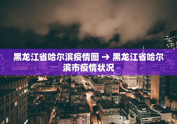 黑龙江省哈尔滨疫情图 → 黑龙江省哈尔滨市疫情状况
