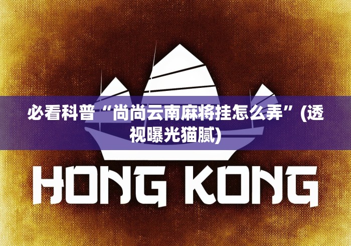 必看科普“尚尚云南麻将挂怎么弄”(透视曝光猫腻)