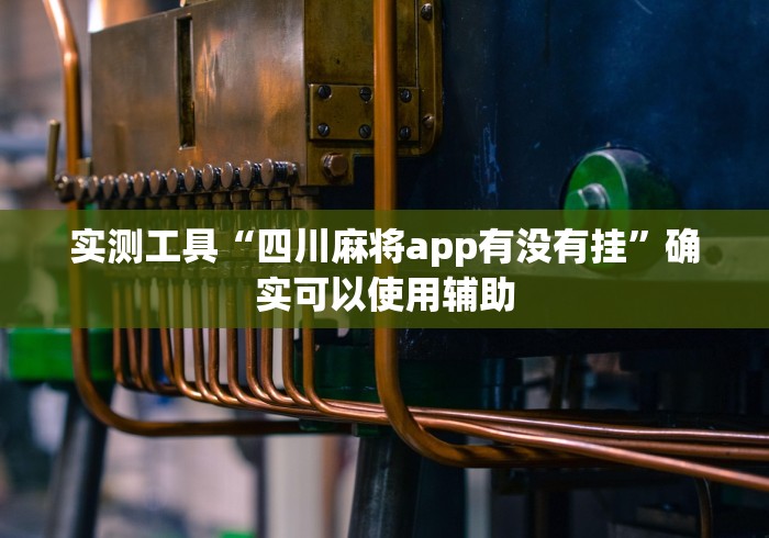 实测工具“四川麻将app有没有挂”确实可以使用辅助