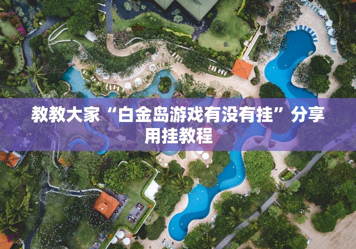 教教大家“白金岛游戏有没有挂”分享用挂教程