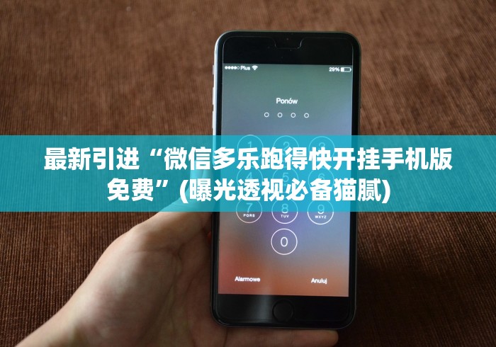 最新引进“微信多乐跑得快开挂手机版免费”(曝光透视必备猫腻)