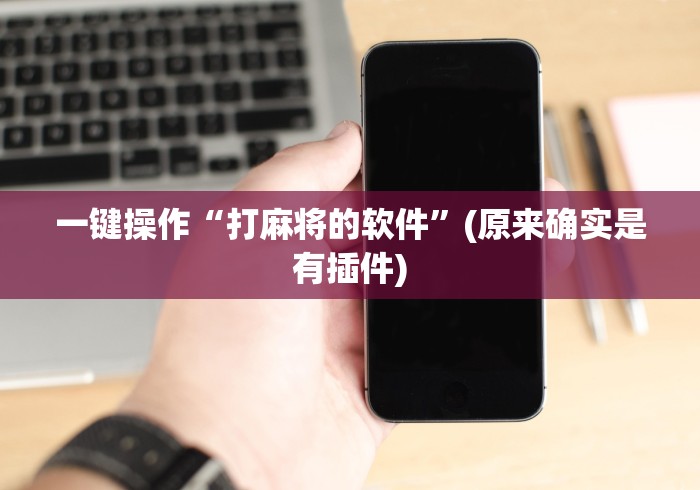 一键操作“打麻将的软件	”(原来确实是有插件)
