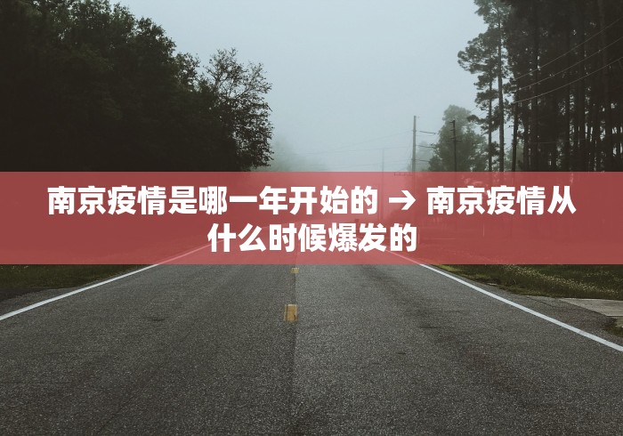 南京疫情是哪一年开始的 → 南京疫情从什么时候爆发的