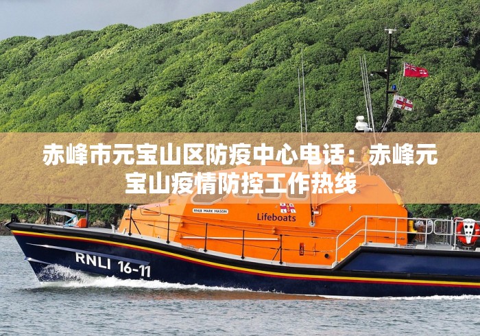 赤峰市元宝山区防疫中心电话：赤峰元宝山疫情防控工作热线