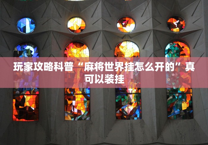 玩家攻略科普“麻将世界挂怎么开的”真可以装挂
