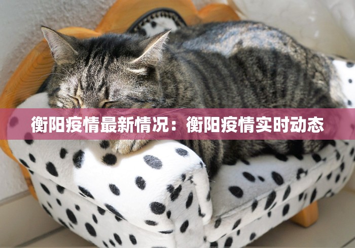 衡阳疫情最新情况：衡阳疫情实时动态