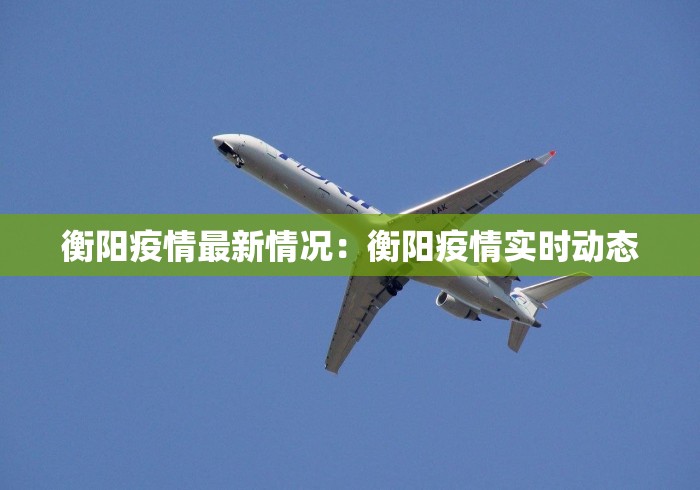 衡阳疫情最新情况：衡阳疫情实时动态