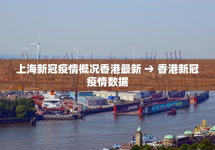 上海新冠疫情概况香港最新 → 香港新冠疫情数据