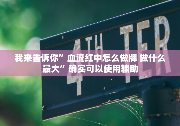 我来告诉你”血流红中怎么做牌 做什么最大”确实可以使用辅助