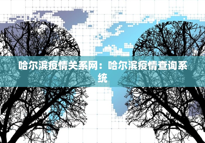 哈尔滨疫情关系网：哈尔滨疫情查询系统