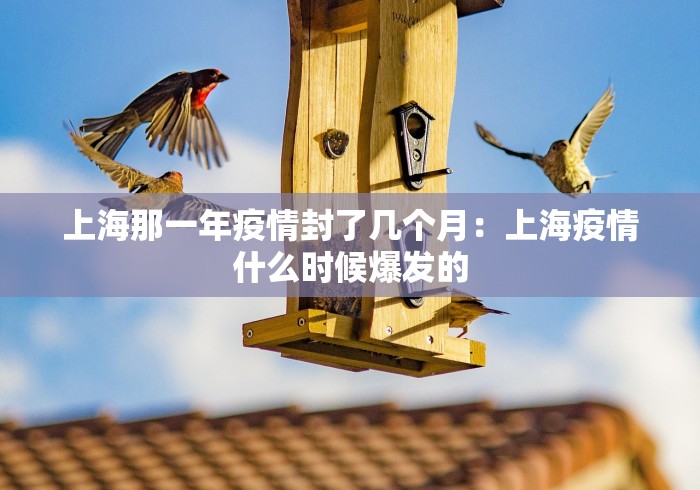 上海那一年疫情封了几个月:上海疫情什么时候爆发的 上海那一年疫情封了几个月:上海疫情什么时候爆发的