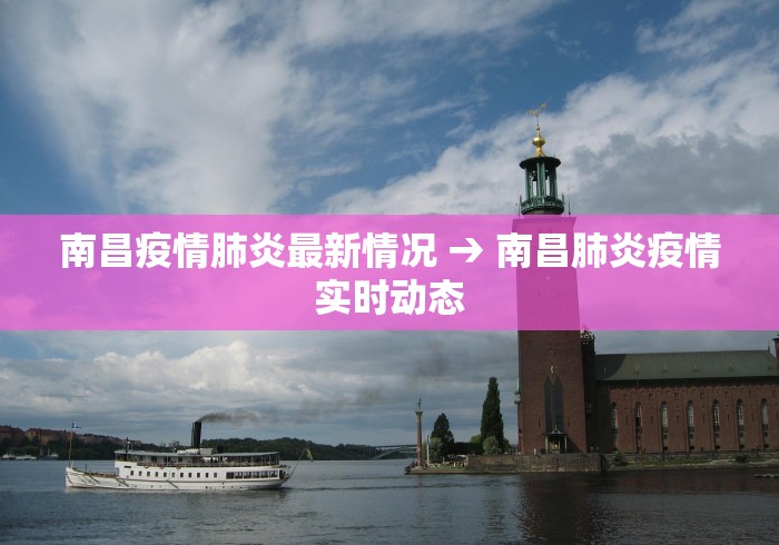 南昌疫情肺炎最新情况 → 南昌肺炎疫情实时动态
