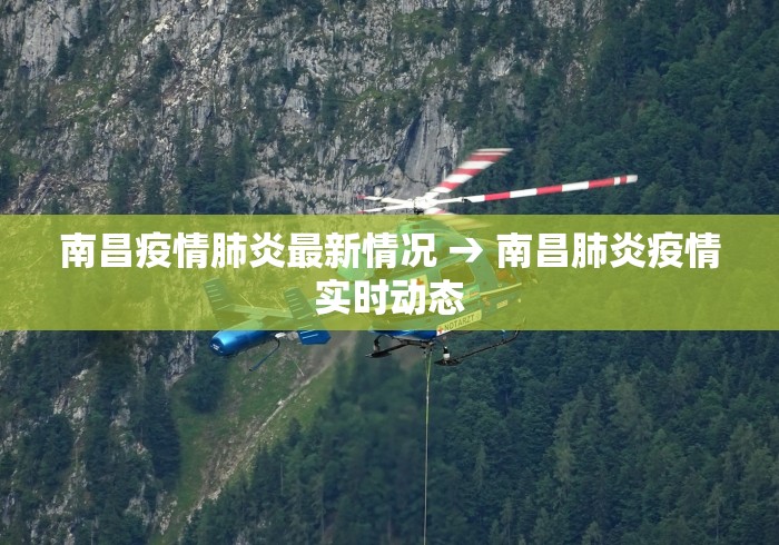 南昌疫情肺炎最新情况 → 南昌肺炎疫情实时动态