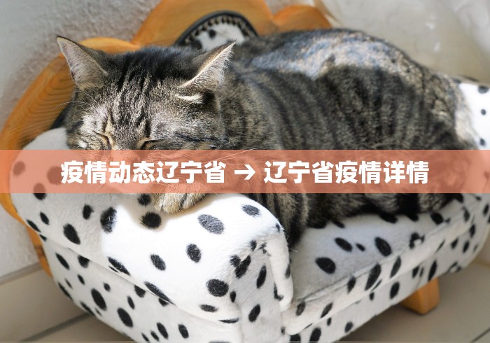 疫情动态辽宁省 → 辽宁省疫情详情