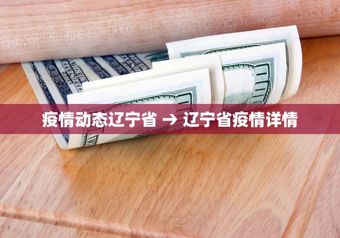 疫情动态辽宁省 → 辽宁省疫情详情