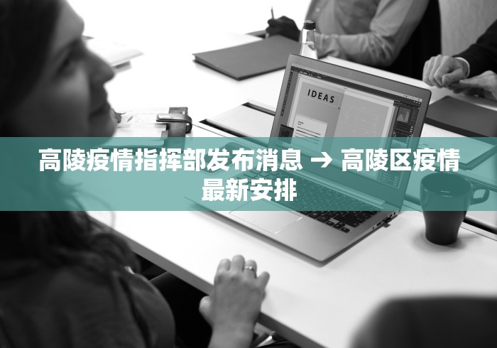 高陵疫情指挥部发布消息 → 高陵区疫情最新安排