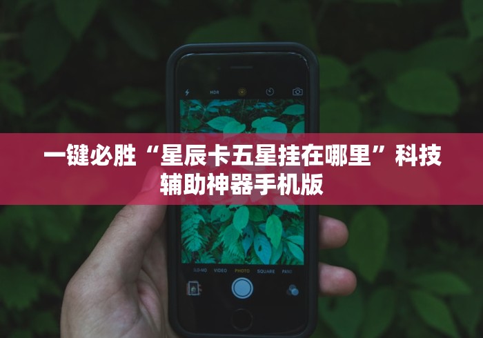 一键必胜“星辰卡五星挂在哪里”科技辅助神器手机版