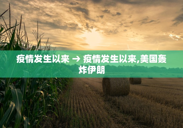 疫情发生以来 → 疫情发生以来,美国轰炸伊朗