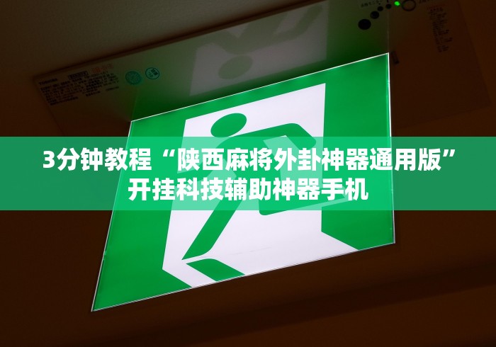 3分钟教程“陕西麻将外卦神器通用版”开挂科技辅助神器手机
