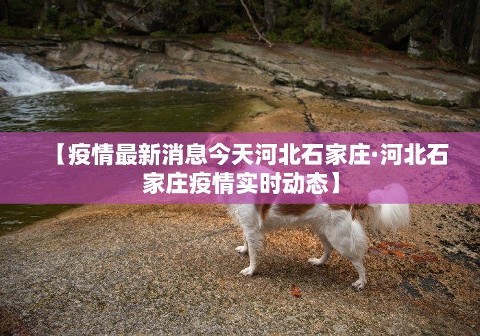 【疫情最新消息今天河北石家庄·河北石家庄疫情实时动态】