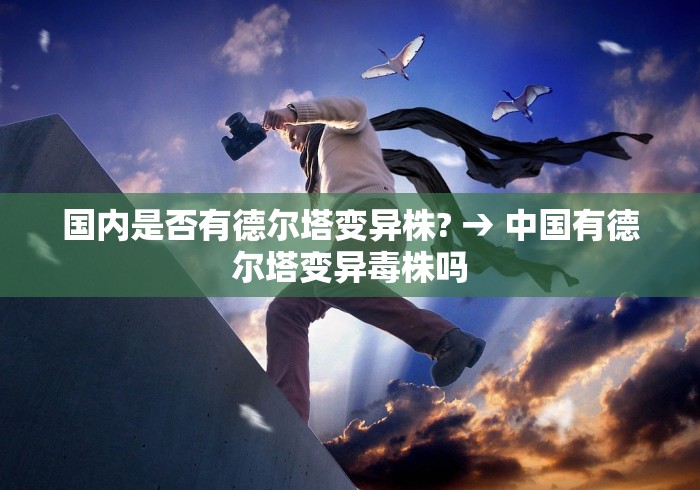 国内是否有德尔塔变异株? → 中国有德尔塔变异毒株吗