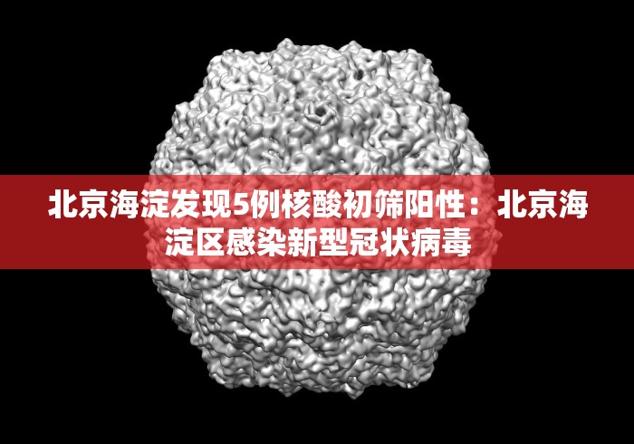 北京海淀发现5例核酸初筛阳性:北京海淀区感染新型冠状病毒 北京海淀发现5例核酸初筛阳性:北京海淀区感染新型冠状病毒