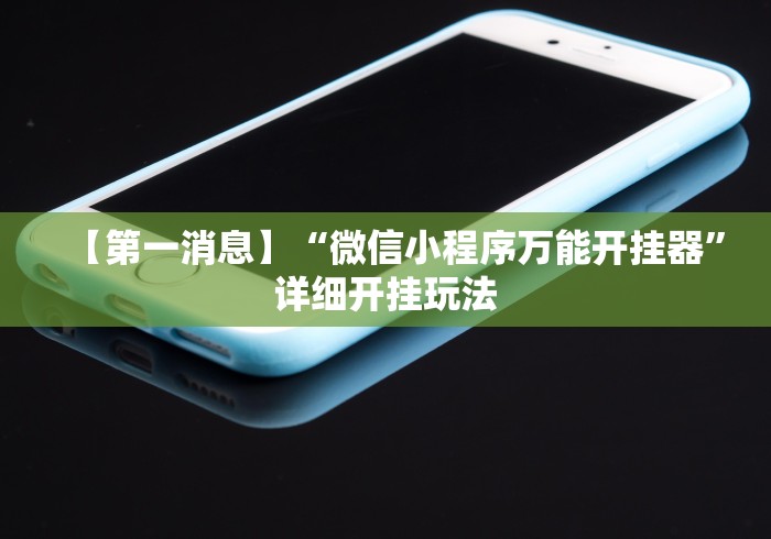 【第一消息】“微信小程序万能开挂器”详细开挂玩法