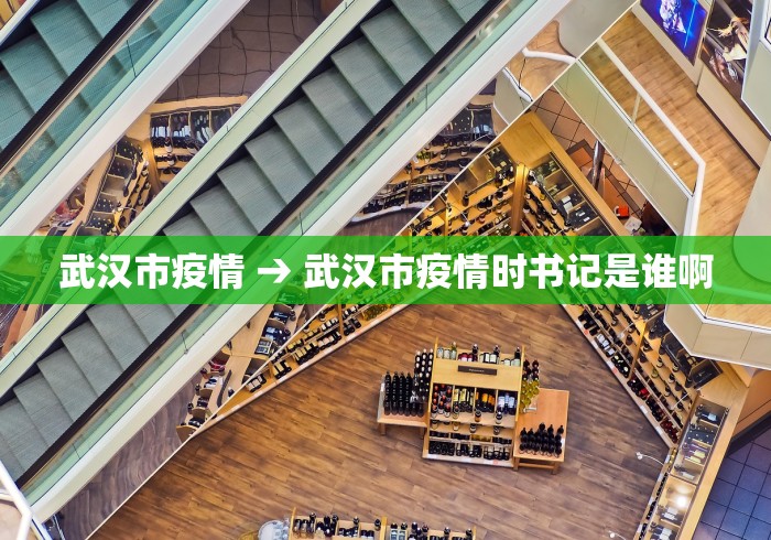武汉市疫情 → 武汉市疫情时书记是谁啊