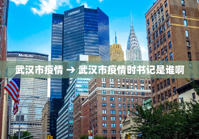 武汉市疫情 → 武汉市疫情时书记是谁啊