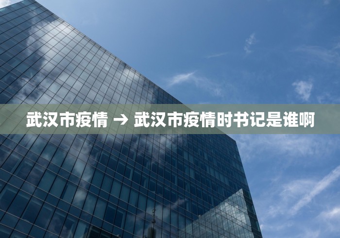 武汉市疫情 → 武汉市疫情时书记是谁啊