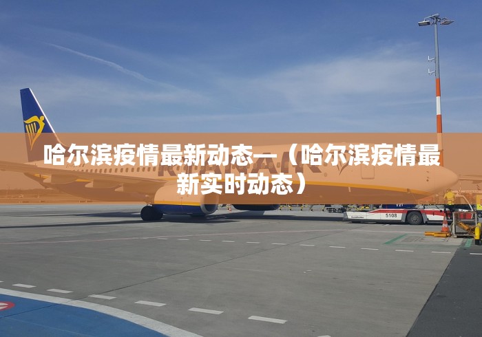 哈尔滨疫情最新动态—（哈尔滨疫情最新实时动态）