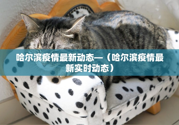 哈尔滨疫情最新动态—（哈尔滨疫情最新实时动态）
