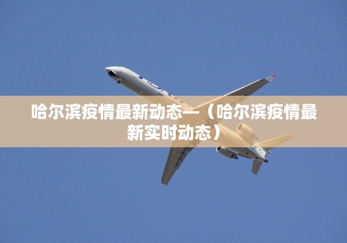 哈尔滨疫情最新动态—（哈尔滨疫情最新实时动态）