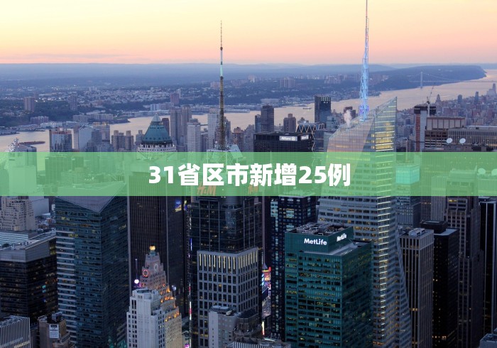 31省区市新增25例