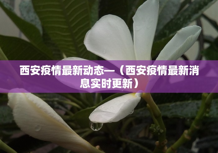 西安疫情最新动态—（西安疫情最新消息实时更新）