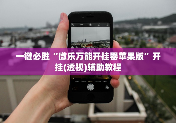 一键必胜“微乐万能开挂器苹果版”开挂(透视)辅助教程