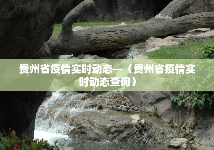 贵州省疫情实时动态—（贵州省疫情实时动态查询）