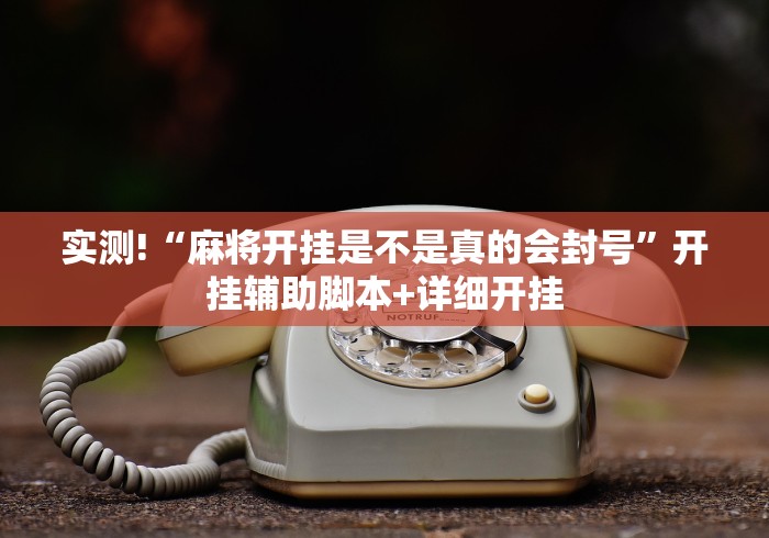 实测!“麻将开挂是不是真的会封号”开挂辅助脚本+详细开挂