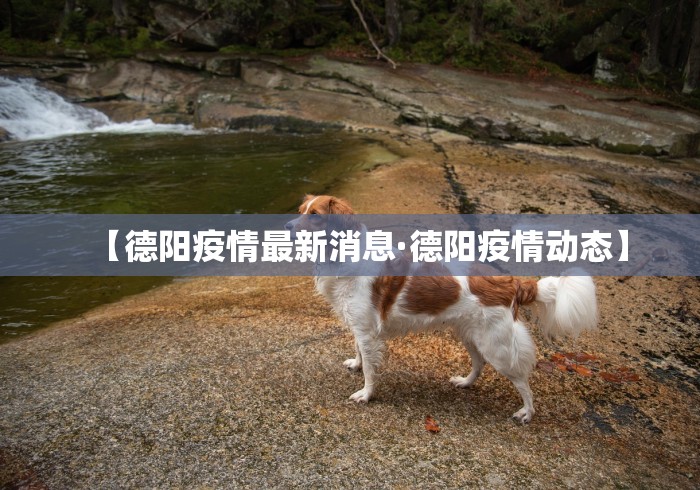 【中秋高速费免费吗·中秋高速免费通行政策】
