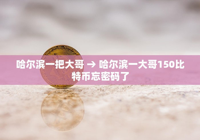哈尔滨一把大哥 → 哈尔滨一大哥150比特币忘密码了