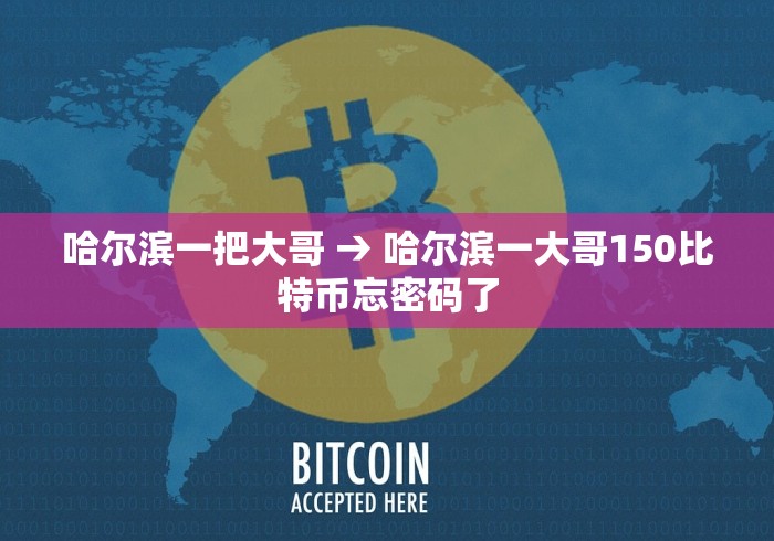 哈尔滨一把大哥 → 哈尔滨一大哥150比特币忘密码了